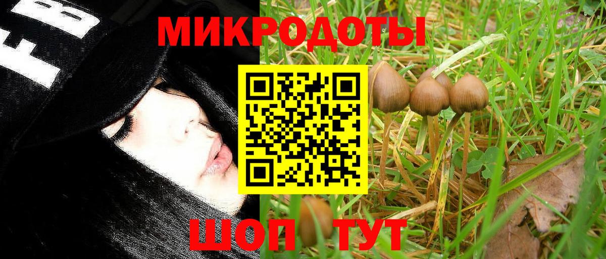 Псилоцибиновые грибы MAGIC MUSHROOMS  продажа наркотиков  Чита  Вход с VPN  Галлюциногенные грибы Cubensis 